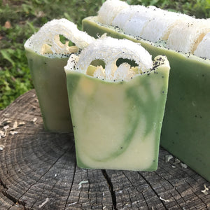 Eucalyptus Spearmint Loofah Soap